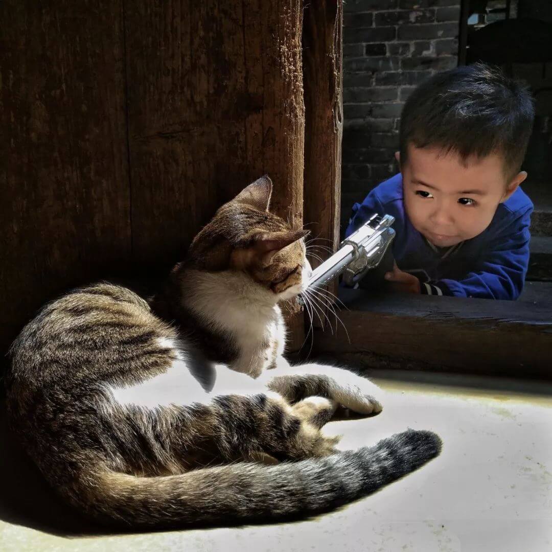 “Wanpy 顽皮杯”中国宠物摄影大赛获奖作品公布