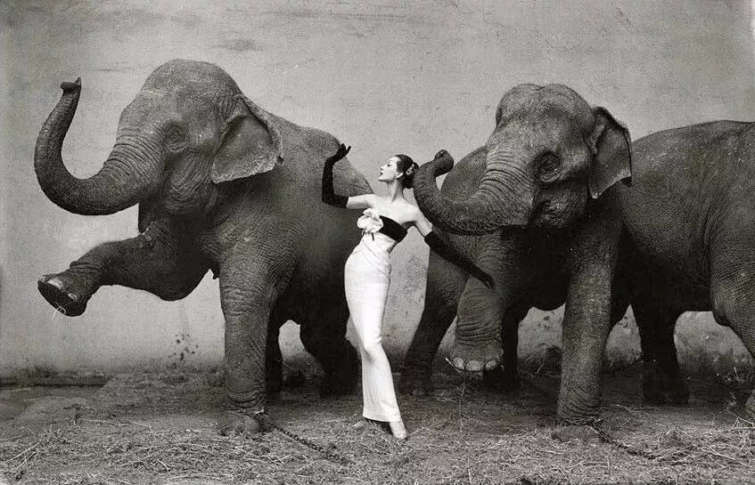 赫本、梦露……50张最美经典女性黑白照