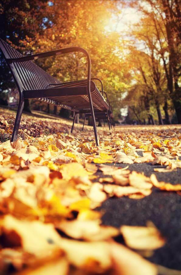 如何拍好秋季美景？你需要这 8 个技巧