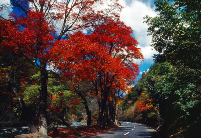 行摄路线推荐丨国内最适合拍秋景的五个地方