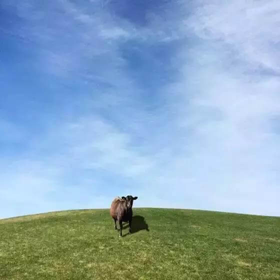 10招极简风格摄影技巧，教你拍出意境美！