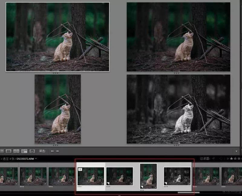 用 Lightroom 做后期的几个小技巧