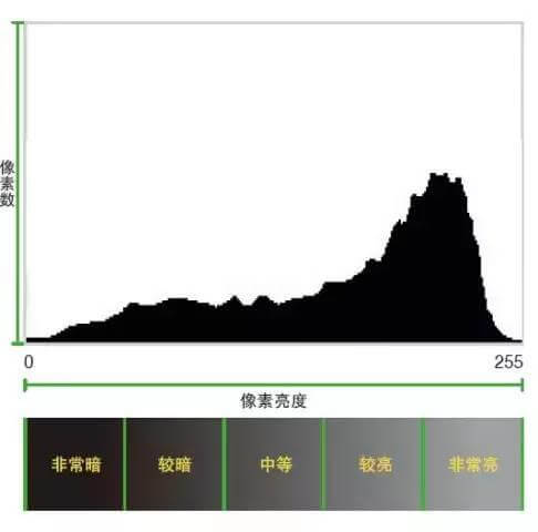 学会这样看