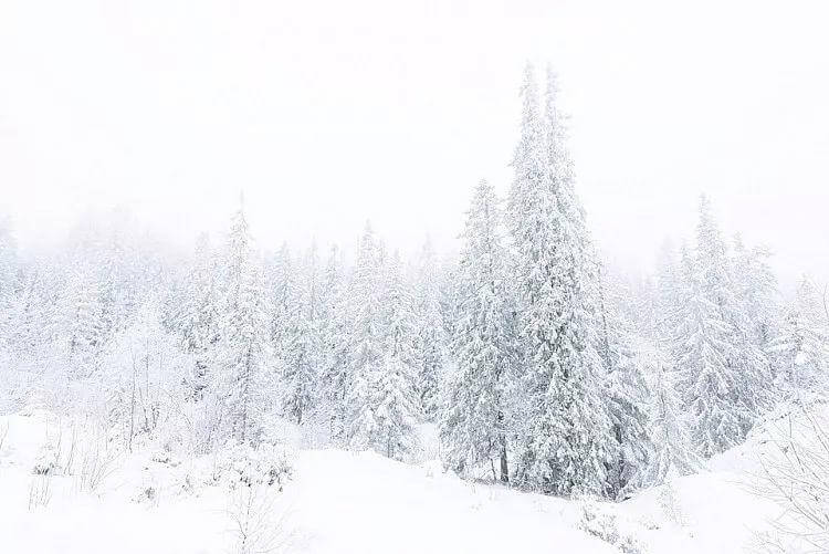 雪景拍摄必备技巧 教你如何留住冬季特有之美