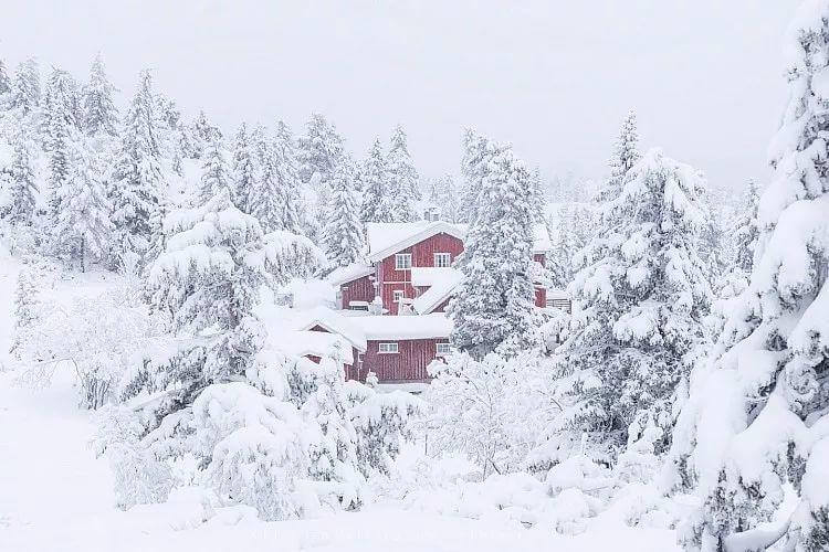 雪景拍摄必备技巧 教你如何留住冬季特有之美