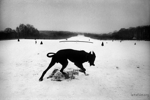 你有自己坚持拍摄的主题吗? | 胶片的味道 Photo by Josef Koudelka