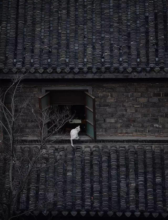 用好了点构图，照片才更有味道！