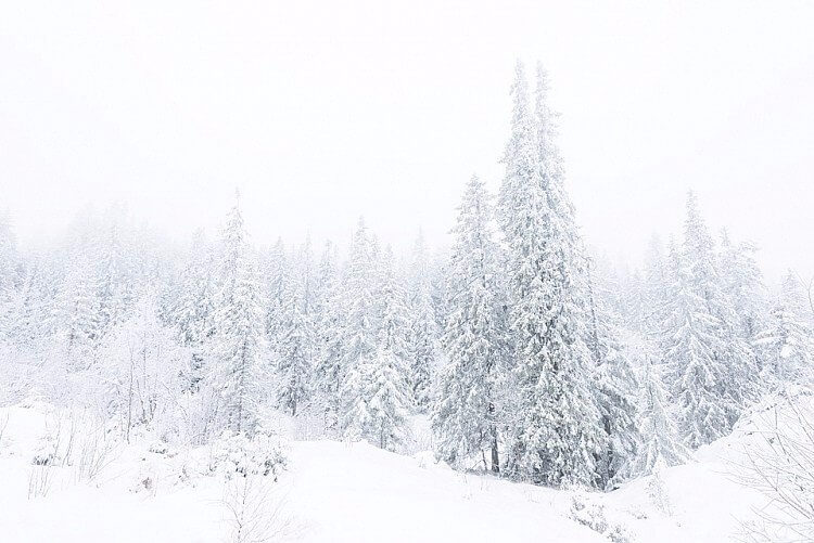 冬季雪景风光拍摄五个小技巧