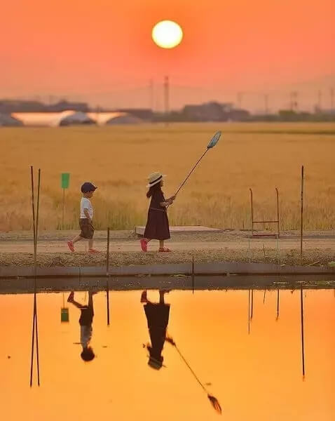 照片拍不好，可能是你不会选场景