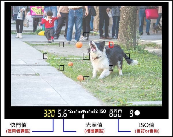 新手必读光圈与快门的基本操作