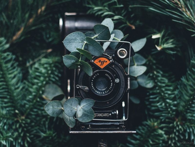 不知道拍什么?你需要这些方法提升你的创造力 | 胶片的味道 Photo by Annie Spratt on Unsplash